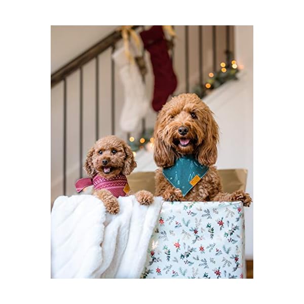 Remy+Roo Dog Bandanas – 2 Pack | Evergreen Set | Premium Durable Fabric | Unique Shape | Adjustable Fit | Multiple Sizes Offered (Large) Remy+Roo Dog Bandanas – 2 Pack | Evergreen Set | Premium Durable Fabric | Unique Shape | Adjustable Fit | Multiple Sizes Offered (Large)