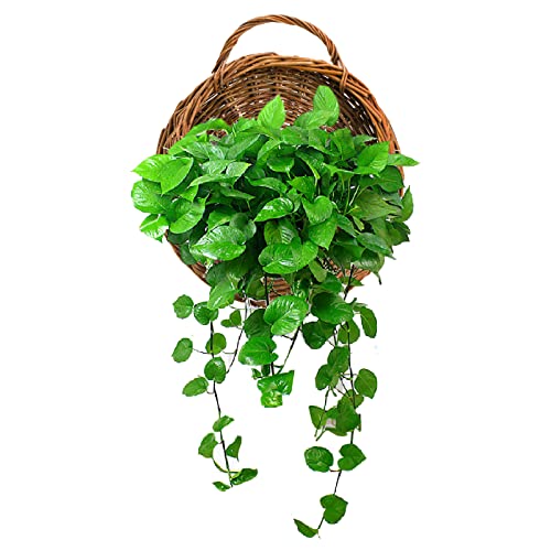 Foraineam Handmade Woven Hanging Basket, Natural Wicker Storage Basket Wall Hanging Flower Pot, Rattan Hanging Planter Container For Home Garden Wedding Wall Decorations thumb #2