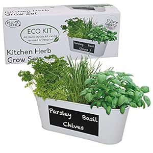Pronto Seed Grow Your Own Herbs Kit Indoors, Basil, Parsley and Chives, Metal Chalk Board Kitchen Herb Planter Ideal…