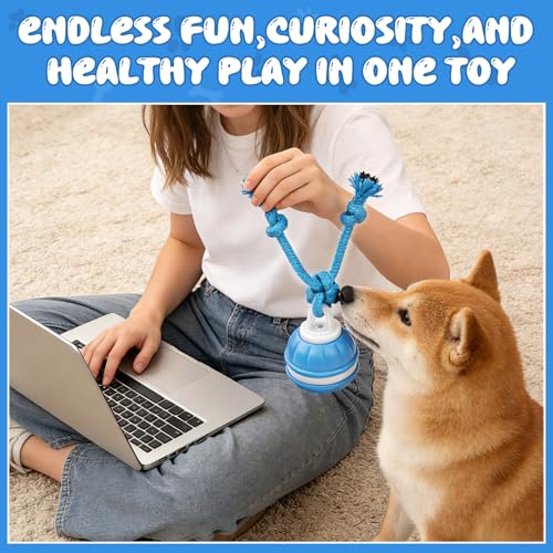 Interaktives Hundespielzeug, Interaktiver Spielball für Hunde mit LED-Lichtern, 3 Spielmodi, Hundeball Elektrisch mit Seil & Bellen, TYPE-C Aufladbar, Hundespielball für Kleine Mittlere Große Hunde