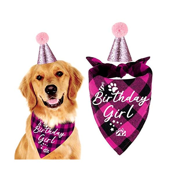 Yrovwenq family kitchen classic pink plaid pet puppy dog bandana with dog birthday party hat accessories, girl dog birthday bandana scarf bibs for pet birthday outfit party supplies set