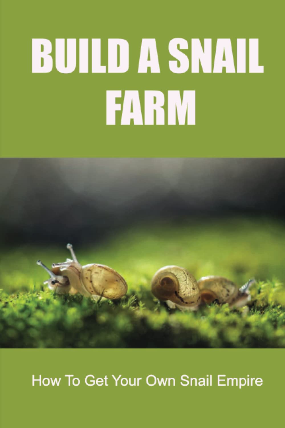 Build A Snail Farm: How To Get Your Own Snail Empire