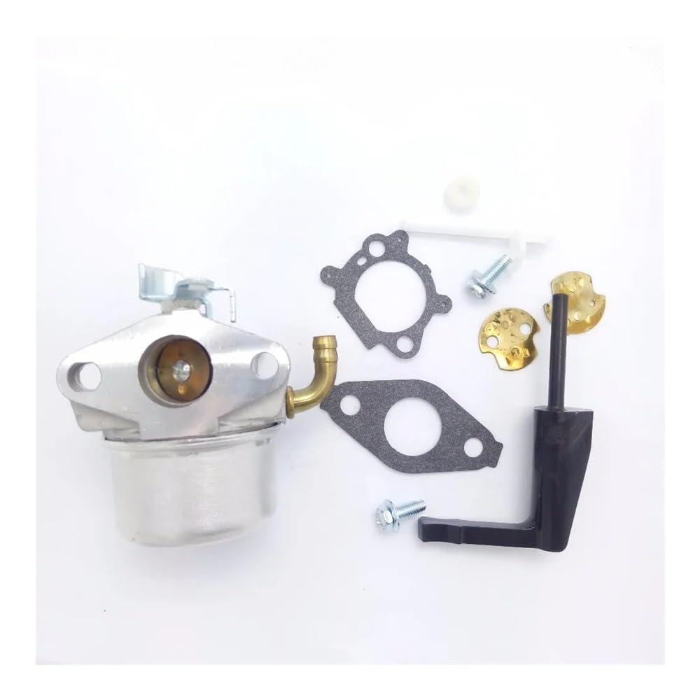 Carburateur de rechange pour moteurs BS 798653 791077 696981 motoculture