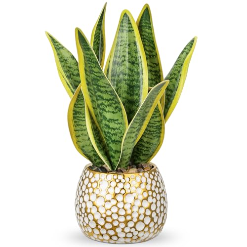 Planta artificial Sansevieria de 31 cm en maceta de cerámica dorada, pequeña planta de interior, plantas artificiales de serpiente artificiales, como auténticas, perfectas para baño, dormitorio,