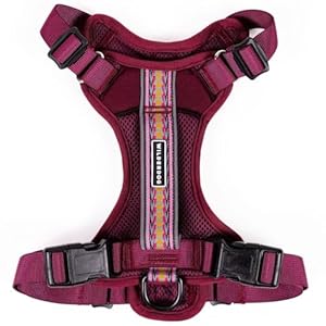 Wilderdog Lightweight Dog Harness with Reflective Straps – Medium – Huckleberry