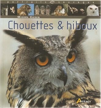 Paperback chouettes & hiboux [French] Book