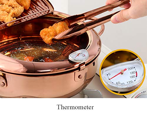 Qiboorun Stainless Steel Deep Fryers Tempura Frying Pot With Thermometer Chicken Wings, French Fries Dust-Proof Lid And Oil Drip Rack For Kitchen Cookingil Drip Rack For Kitchen Cooking-Rainbow Color #TOP4