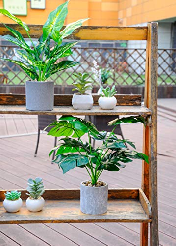 image for WUKOKU 2pcs Fake Plants 16