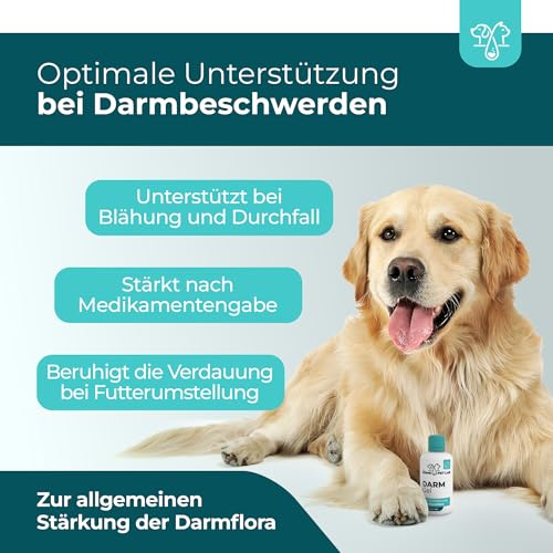 The Home Pet Lab Probiotika Darmpflege für den Hund - Zur Unterstützung des Darms und Einer gesunden Darmflora - Unterstützt die Darmgesundheit durch Stabilisierung der Verdauung