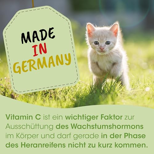 cdVet ArthroGreen Junior 25g – Ergänzungsfuttermittel für Hunde und Katzen mit Grünlippmuschel und Kräutern