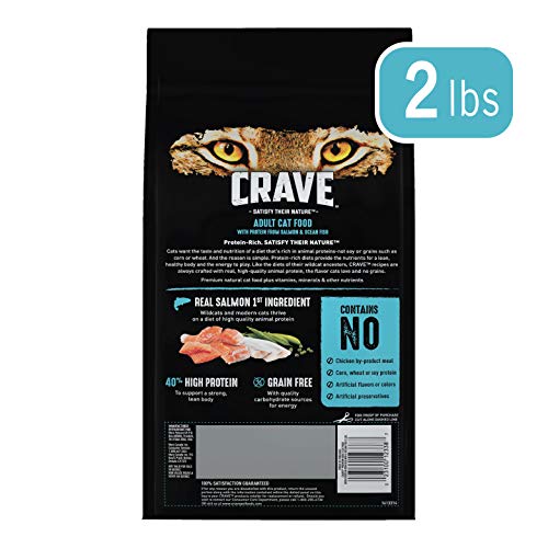 Crave Grain Free Adult High Protein Natural Dry Cat Food With Protein From Salmon & Ocean Fish, 2 Lb. Bag #TOP1