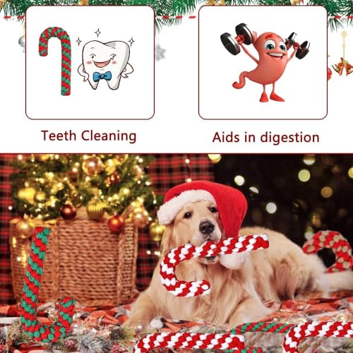 AHYDFSR Hunde Kauspielzeug, 3 Stück Hundespielzeug Zuckerstange Weihnachten Geschenk, Weihnachts Zuckerstange Seil, Interaktives Hunde Spielseil für Zahnreinigung