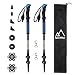 Terra Hiker Hiking Stick Adjustable Trekking Pole, Collapsible Lightweight Hiking Pole with Lever Lock & Carry Sack for Camping, Hiking, 2-Piece