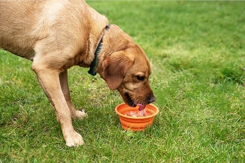 Mountain Paws Silicone Collapsible Dog Bowl With Attachment Loop, Orange, 0.9L - Image 2