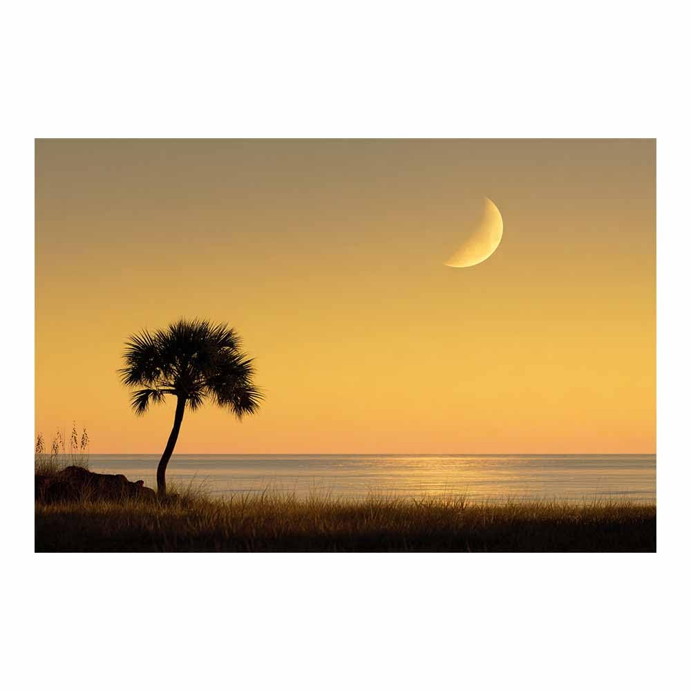 HUYEEI Canvas Print Wall Art Moonlit Sea Modern Nature Landscape Poster, for living room, bedroom,Corridor Office Room Decoretc.(yellow)-70x100cm Unframed