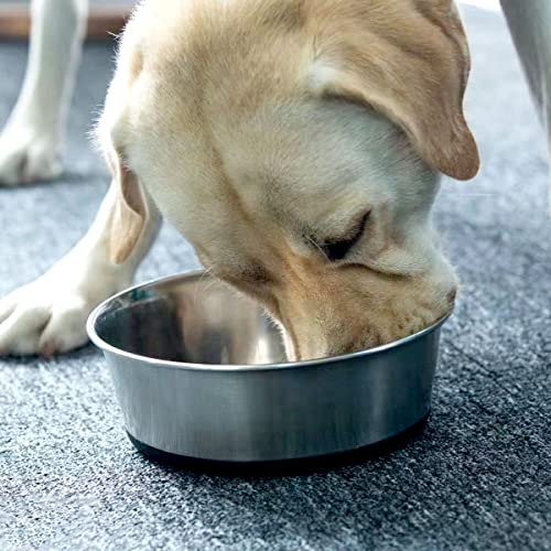WEDAWN Hundenäpfe aus Edelstahl, 4 Tassen, rutschfeste Gummiunterseite, tiefer Futternapf in Lebensmittelqualität, Premium-Wasser- und Futternäpfe für Hunde und Katzen, spülmaschinenfest, leicht zu