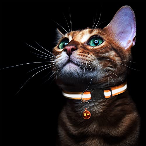 SMXXO 12 Pack Cat Collars with Bells Relective-Breakaway Set,Adjustable Safety Kitten Collar for Girl Boy,with 2 Name ID… - Image 6