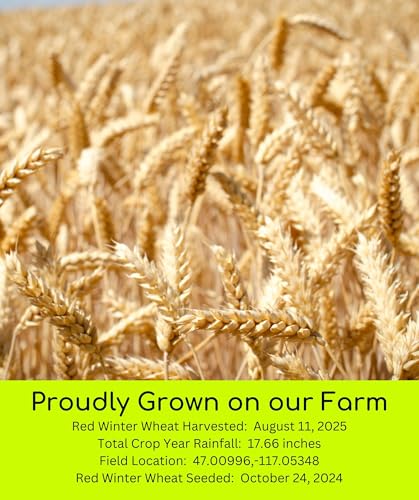 Image of Palouse Brand Certified Glyphosate Residue Free Hard White, Soft White, Red Spring and Winter Wheat Berries | 12 LBS | Non-GMO Project Verified | Kosher (4-3 lb bags each)