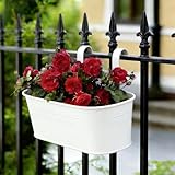 RIOGOO B0GFCF5GKL lato 4