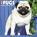 Just Pugs 2018 Calendar