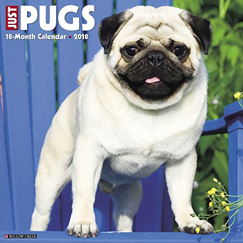 Just Pugs 2018 Calendar
