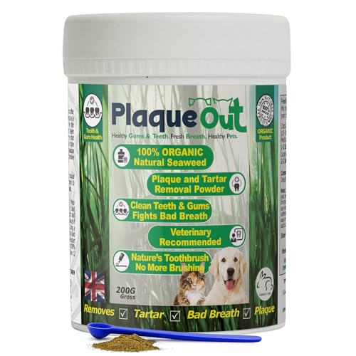 Plaque Out 200g Pot - Plaque Off Remover - 100% Natural and Organic Seaweed Powder for Dogs & Cats - Dog Teeth Cleaning, Plaque Removal, Pet Dental Care, Bad Breath, Gum Care and Tartar Control