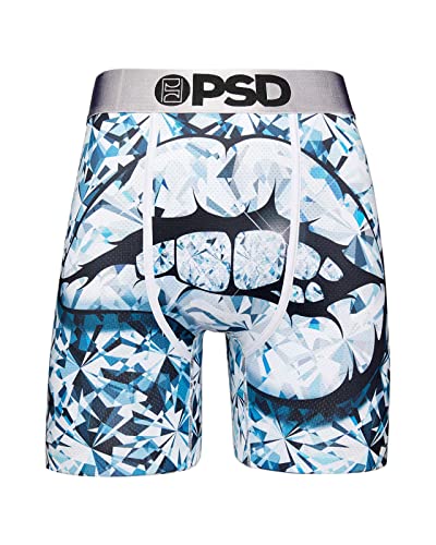 PSD Men's Ice Cold Bite (Micro Mesh) Boxer Brief, Multi, L2