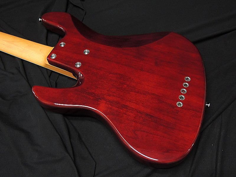 Amazon | Sire Marcus Miller V5 24 5st TS 24フレット仕様 サイアー
