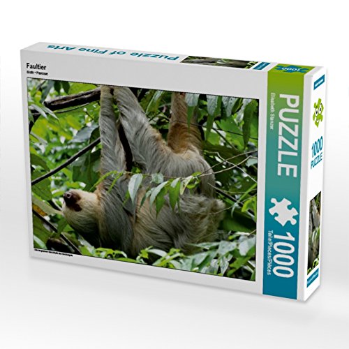 CALVENDO Puzzle Sloth 1000 Pieces 64 x 48 cm from Elisabeth Stanzer