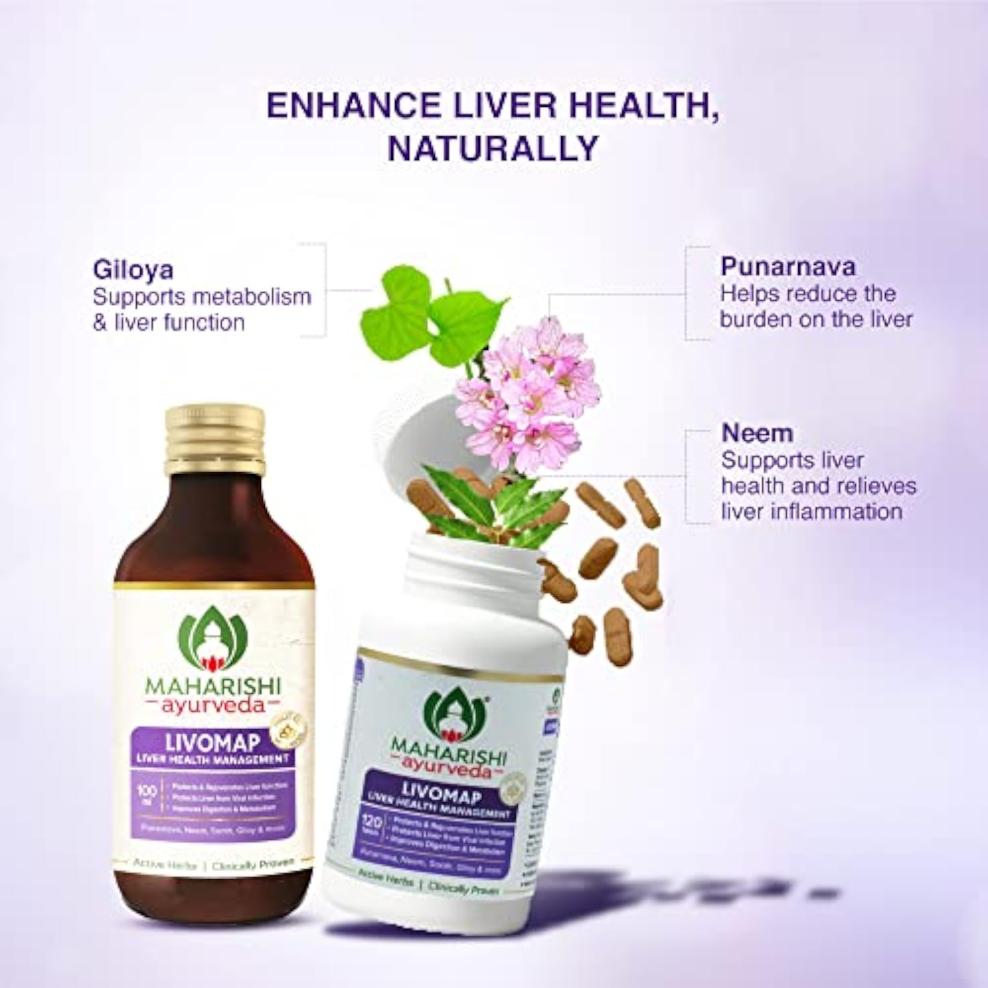 Liver Support Supplement, 100 Tablets
