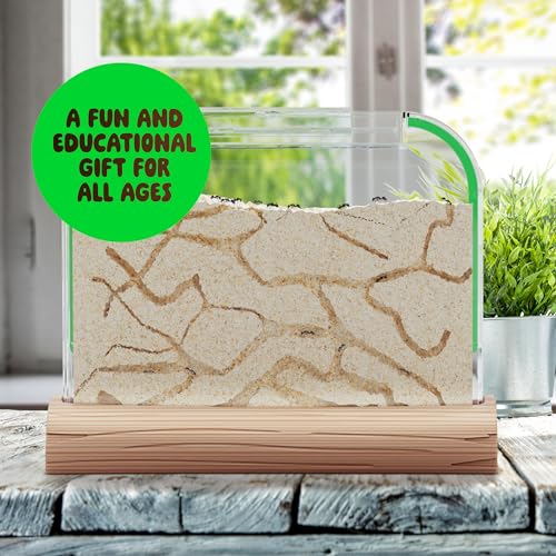 Old antfrm Science kit
