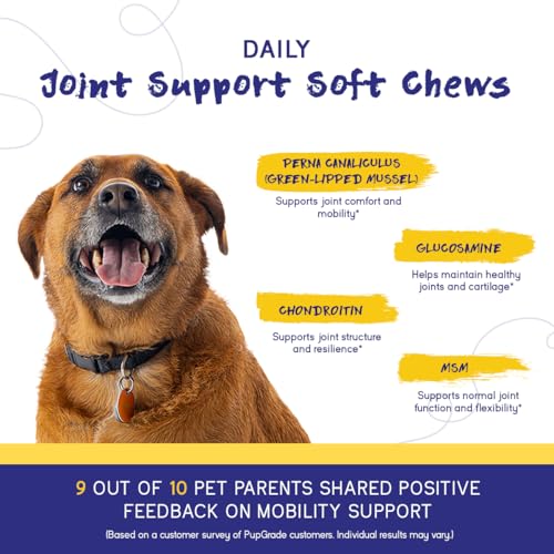 PupGrade Joint Support for Dogs, Beef Flavor - 60 Soft Chews - Image 5