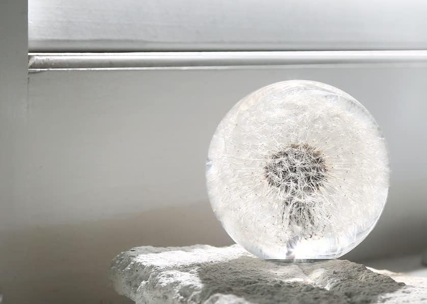 COREFLEX Real Dandelion Paperweight, Dandelion in Resin Ball in Gift Box, 2.75inch(70mm) Home Office Desktop Decor Decoration, Birthday, Wedding Gift and Valentine's Day - Image 8