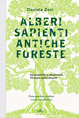 Alberi sapienti, antiche foreste: Come guardare, ascoltare e avere cura del bosco