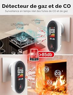 Détecteur de Monoxyde de Carbone et Gaz avec Prise - Détecteur CO 4-en-1 avec Capteur de Température & Humidité - Alarme Sonore pour GPL, Propane, Méthane, Éthane & CO - pour Maison et Caravane​
