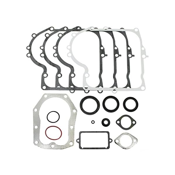 Briggs and Stratton Genuine 494241 Motordichtungs-Set