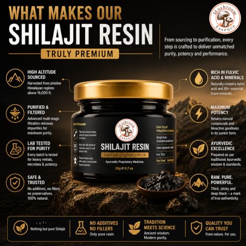 Image of Shilajit Resin | Purified Himalayan Shilajit Resin |20g (pack of 1) for Energy & Immunity