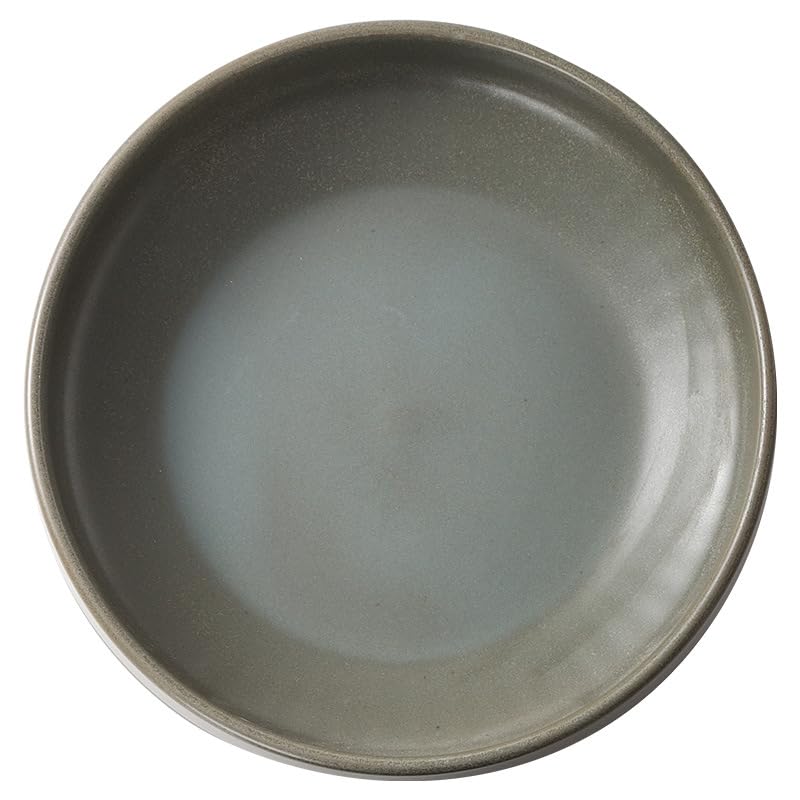 Japanischer Teller aus Steingut, 25,9 cm, für Frühstück, Nudelsalat, elegantes Design, perfekt für Zuhause oder Restaurant, schwarzes Finish