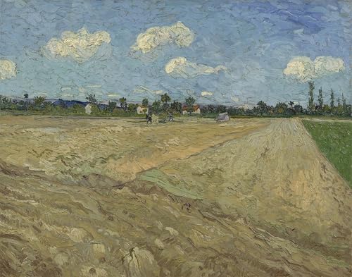 Affiches et gravures Van Gogh pour créer une décoration murale lumineuse dans votre salon