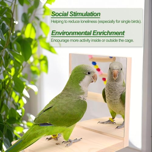 Image of Wooden Bird Parrots Playground, Bird Perch Stand, with Bird Ladder Chewing Toys, Out of Cage Accessories