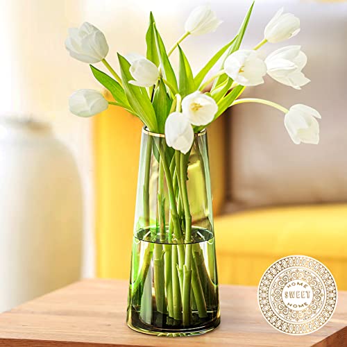 Adafsta Premium Quality Large Vase 22 Cm - Exquisite Clear Flower Vase - Glass Vase For Home Decor - Vases For Flowers For Room Decor, Clear Glass Vase With Ceramic Non-Slip Pad, Tall Vase #TOP2