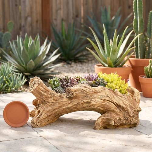 Image of Hiceeden Artificial Driftwood Succulent Planter, Resin Tree Stump Sculpture Rustic Cactus Flower Pot for Herb, Strawberry, Small Plants, Natural Color Drainage Hole, 14.6 inch L x 4.3 inch W x 5.1 inch H