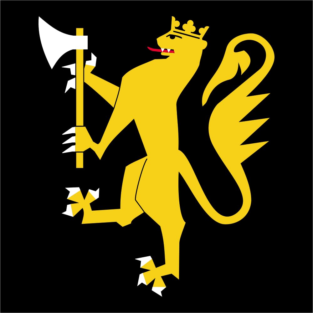 Drapeau Ranger Battalion GSV Norway large standard pour collectionneurs et passionnés d'histoire