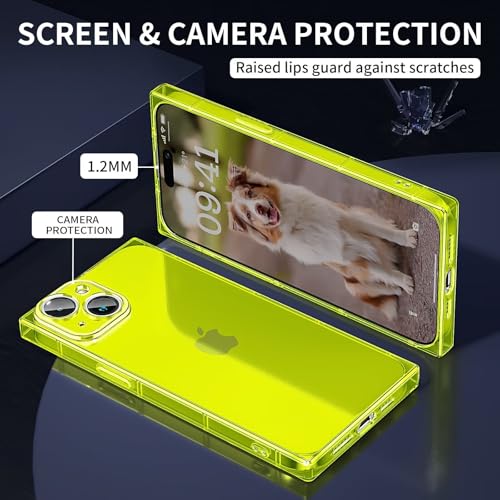 Coque iPhone 15 Plus protection complète photo contre les rayures