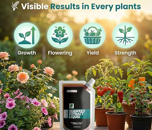 Image of B Natural Organic Seaweed Extract Liquid For Spray On Plants & Garden (1, Seaweed 200ml)