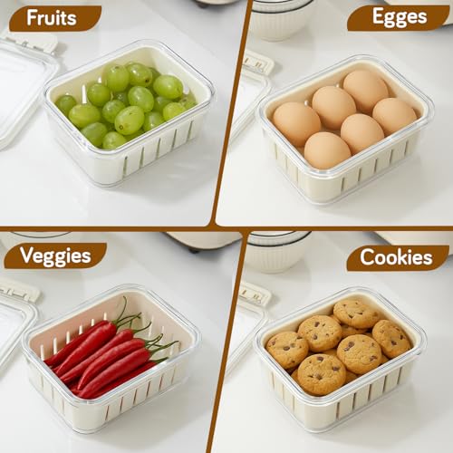 Image of HOKIPO Fridge Storage Containers - BPA Free Food Grade Plastic Organizers for Refrigerator & Freezer | Vegetable Crisper Box & Kitchen Storage Set (AR-6099)