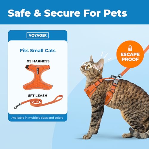 Image of Voyager Escape-Proof Step-in Lock Cat Harness & 5ft Neoprene-Handle Leash Set All-Weather Mesh with Reflective Stitching for Small to Large Cats by Best Pet Supplies, Orange (327), XS