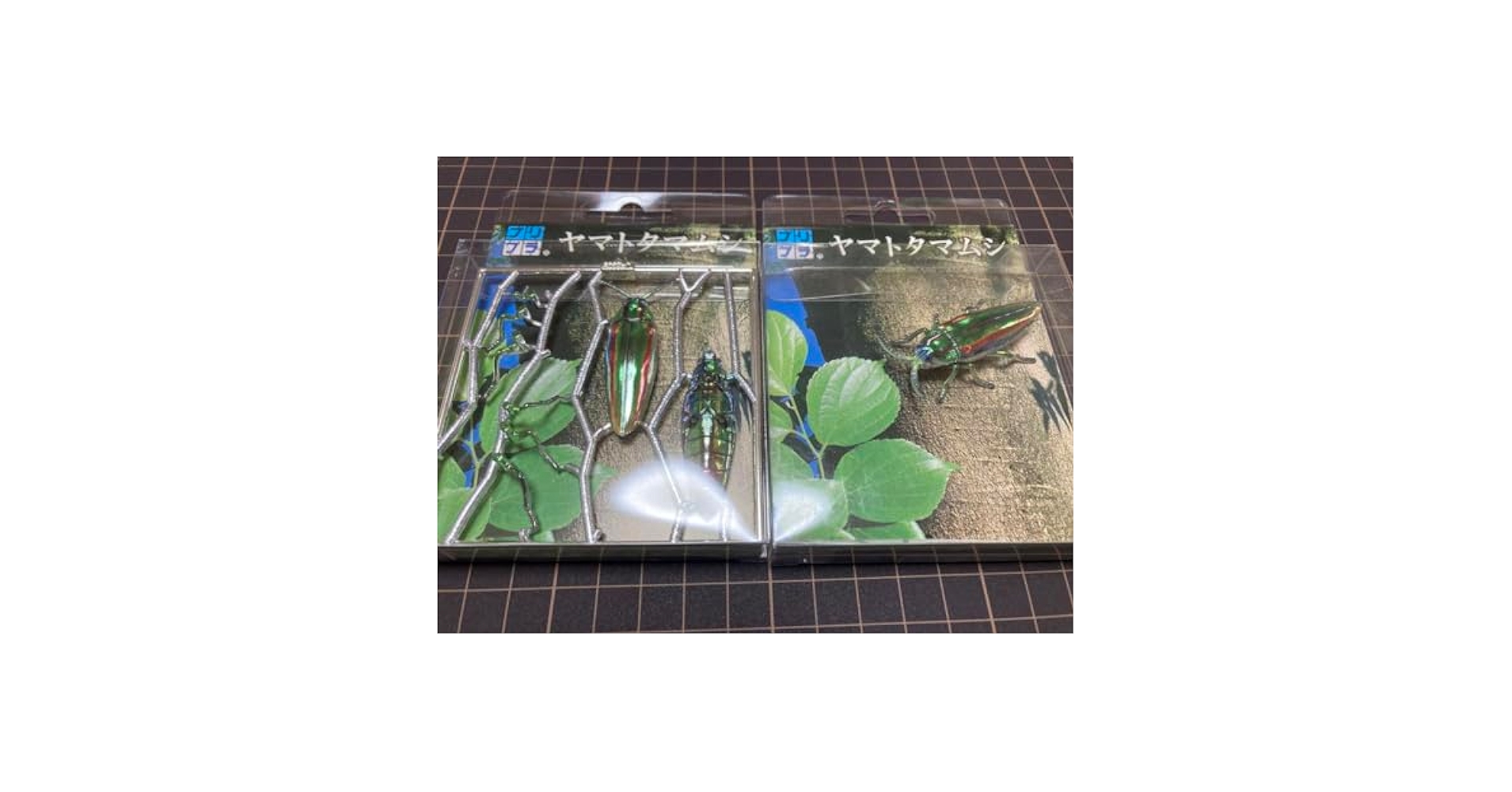 ベトナム産　美麗タマムシ　45mm ベトナム産 美麗タマムシ 45mm ベトナム産 美麗タマムシ 45mm 標本