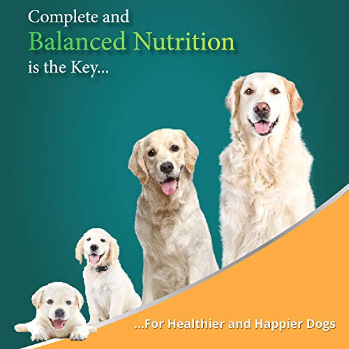 Image of Himalaya Healthy PET Food for Adult Dogs | Meat & Rice | 3kg | Complete & Balanced Nutrition with Mountain Knot Grass, Tree of Heaven & Guduchi