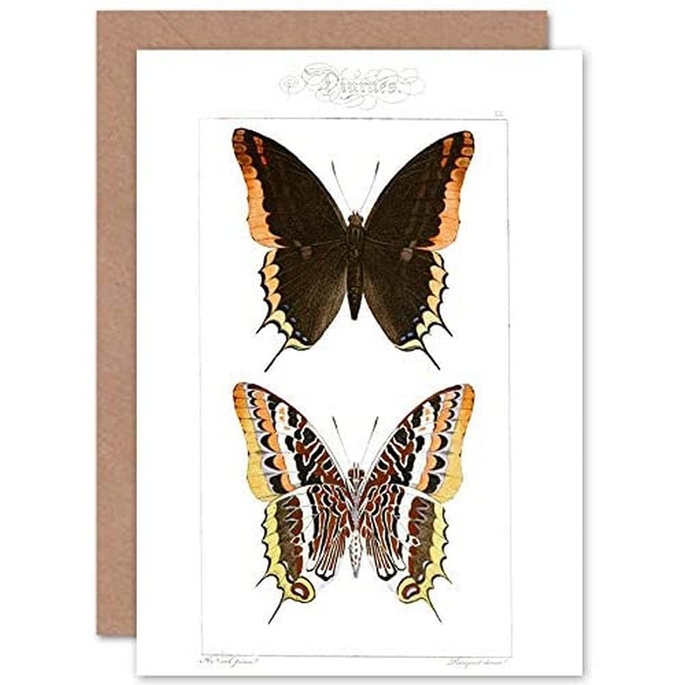 Fine Art Prints Butterflies Black and Brown Pattern Greeting Card With Envelope Inside Premium Quality